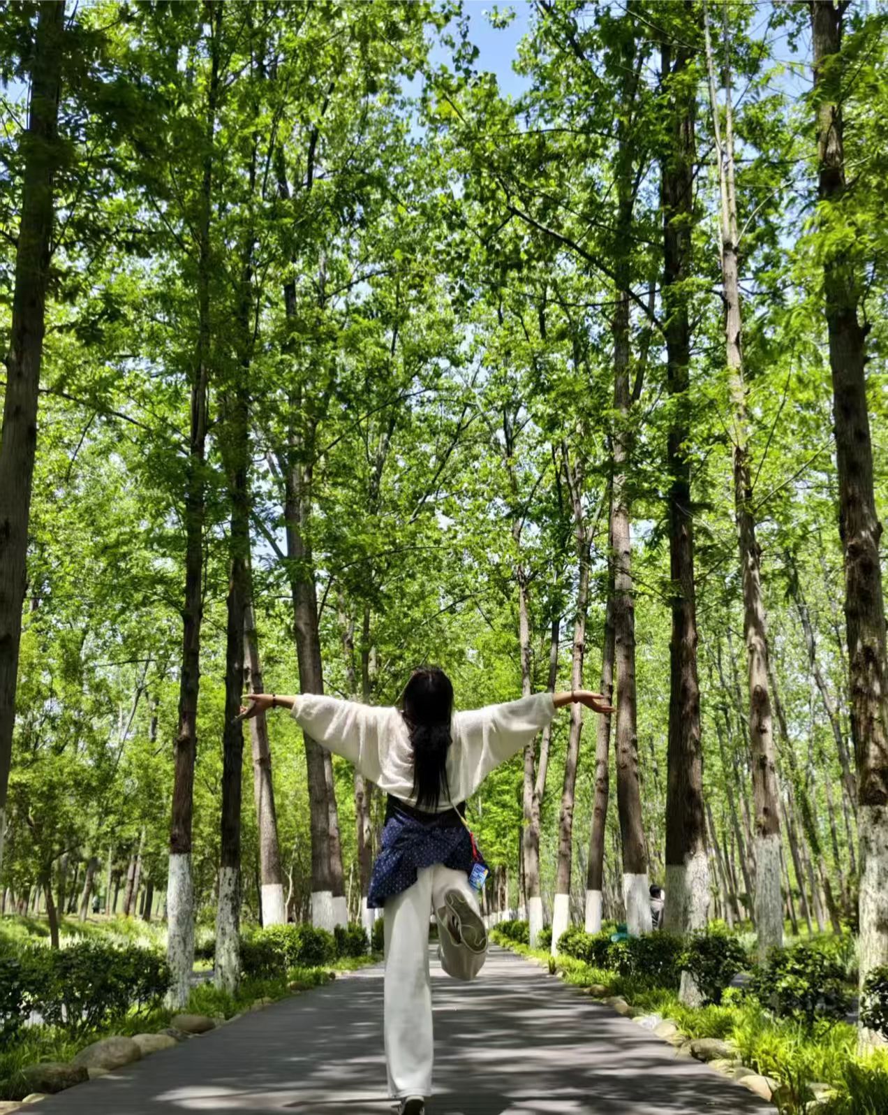 外景随拍